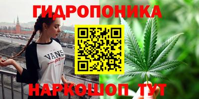 твердый Тара