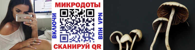 omg рабочий сайт  Отрадный  Галлюциногенные грибы мицелий 