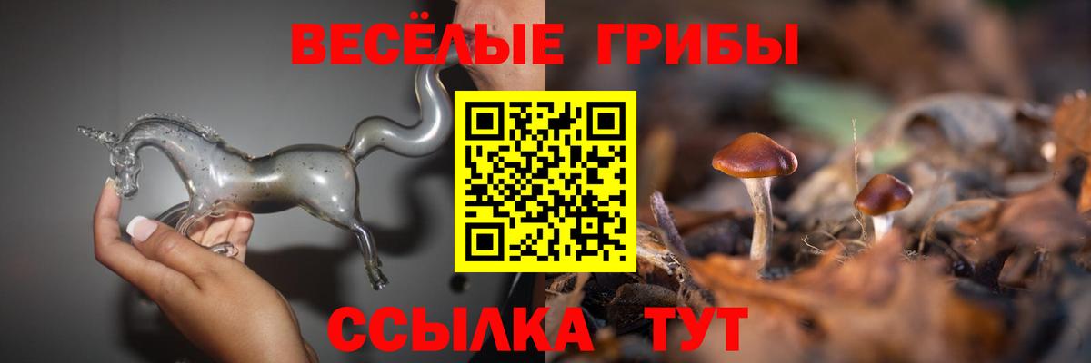 Отрадный  Псилоцибиновые грибы Psilocybe  Вход с VPN 